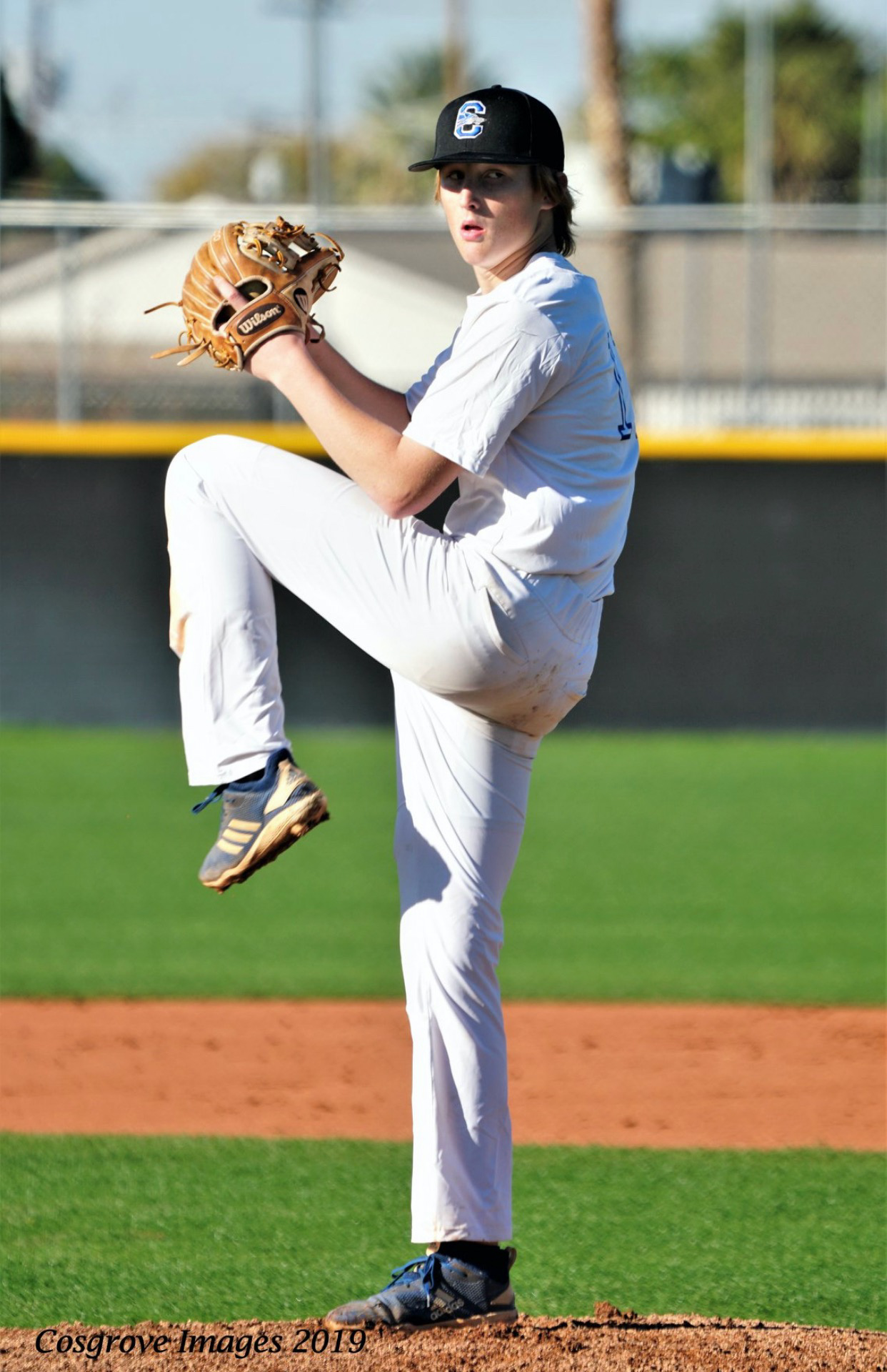 Check out the academic portfolio of the college baseball player Daniel Hutchison